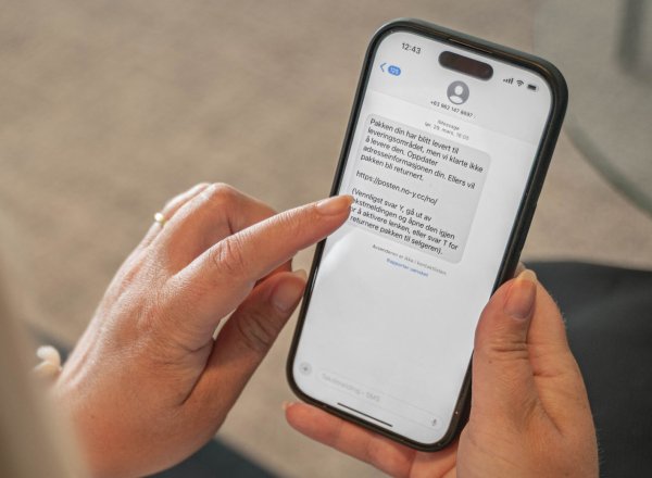 Bildet viser SMS som er svindel.